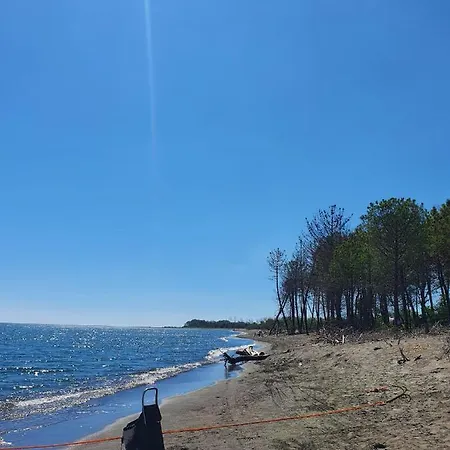 Emma * Velipojë